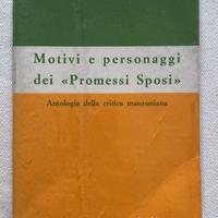 motivi e personaggi dei promessi sposi - le monnie