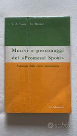 motivi e personaggi dei promessi sposi - le monnie