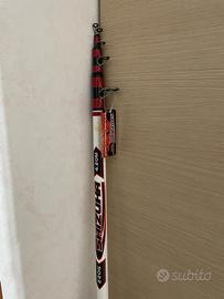 Canna STORIONI Shizuka 1600