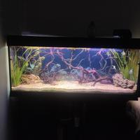 Acquario dubai 120 Ferplast + mobile originale 