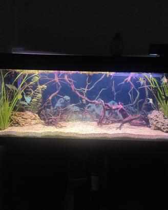 Acquario dubai 120 Ferplast + mobile originale 