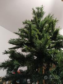 Albero di Natale 