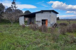 Terreno agricolo di 5000mq con deposito a Belpasso