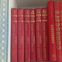 Grande enciclopedia medica curcio