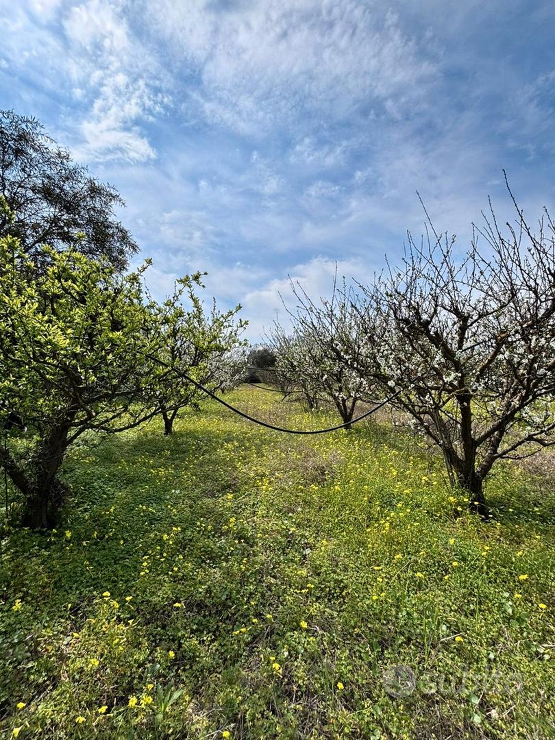 Terreno agricolo - Vista 4