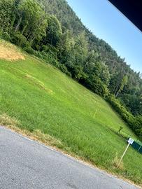 Terreno agricolo Piario