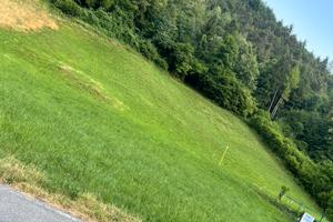 Terreno agricolo Piario