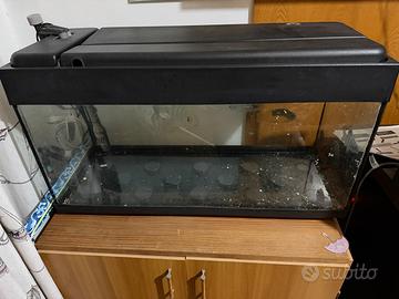 Acquario + filtro esterno Askoll