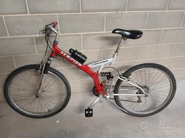 bicicletta adolescente 