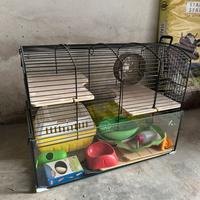 Gabbia criceto-cavia