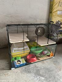 Gabbia criceto-cavia