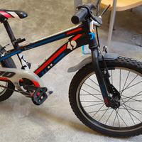Bicicletta taglia 20