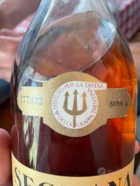Grappa 1971