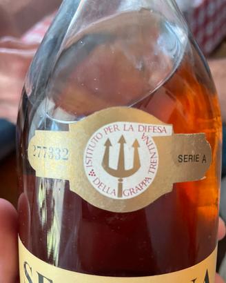 Grappa 1971