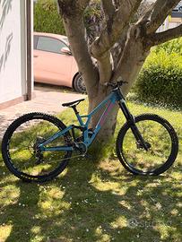 Specialized demo