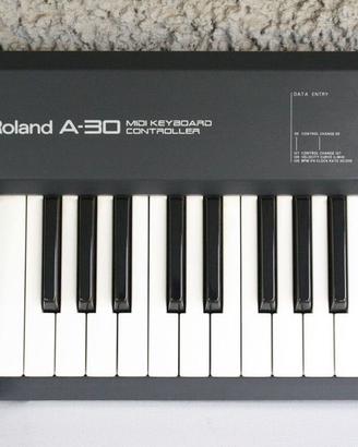 Roland A30