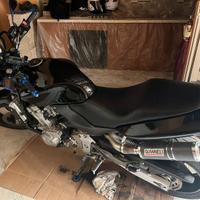 Honda hornet