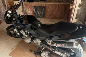 Honda hornet