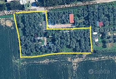 Terreno agricolo con casetta e ulivi