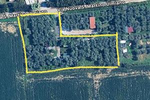 Terreno agricolo con casetta e ulivi