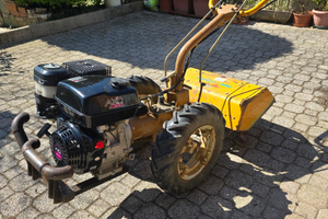 Motozappa Ape Regina