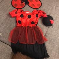 Costume coccinella