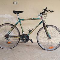 Bicicletta MTB Ganna Advance Evasion Vintage