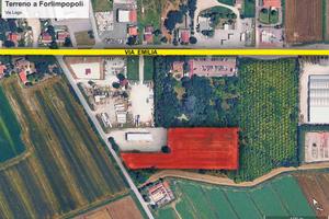 Terreno seminativo a Forlimpopoli