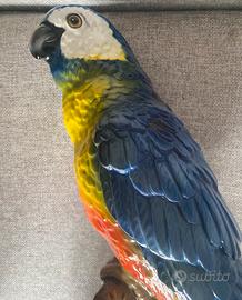 Pappagallo Ceramiche Boxer Bassano