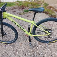 bici Cannondale 29 monoforcella