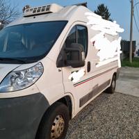 Fiat Ducato coibentato isotermico