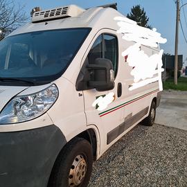 Fiat Ducato coibentato isotermico