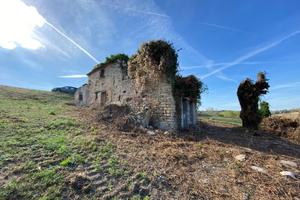 Casa Colonica con Terreno - Monte Rinaldo