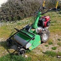 Trincia erba sermenti Lampacrescia