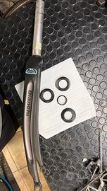 Forcella bianchi SL carbon  con serie stetzo