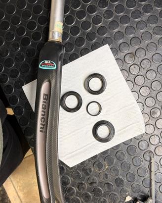 Forcella bianchi SL carbon  con serie stetzo