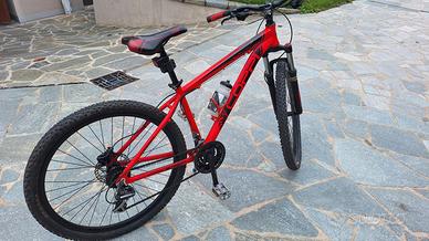 Bicicletta Coppi