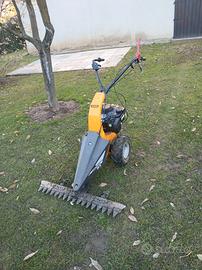 taglia erba a pettine 