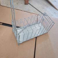 Trappola per topi