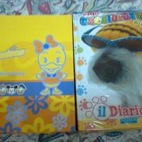 Vari diari scuola 4euro l'uno