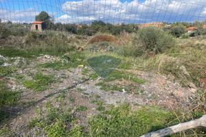 Terreno - San Pietro Clarenza