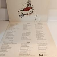 LP Pino Daniele Terra mia 