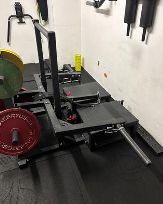 Belt squat strenght shop