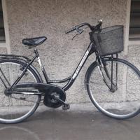 donna ragazza 26 con cestino pronta all'uso 