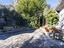 Immagine 11