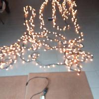 luci decorative  "natalizie"