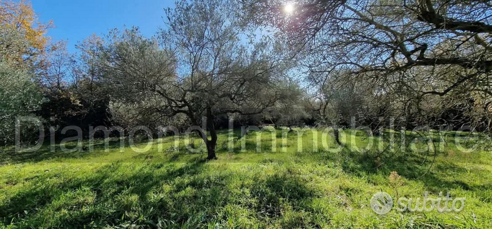 Terreno con rustico a Castiglione di Sicilia - Vista 2