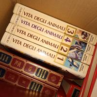 la vita degli animali 