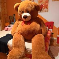 Peluche Orso.