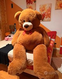 Peluche Orso.